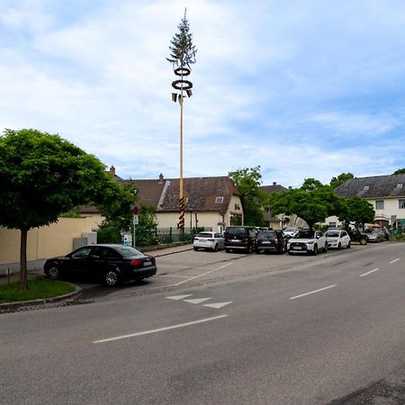 Wachau Ruhepol / 45M² / Idyllisch Mit Gartenterrasse 毛特恩 外观 照片